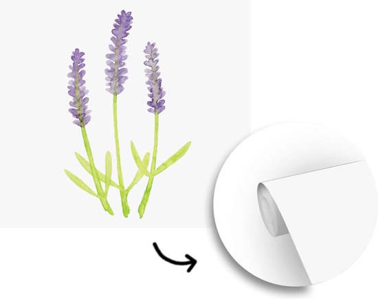 Papier peint photo peint vinyle - Illustration aquarelle lavande largeur 280 cm x hauteur 280 cm - Tirage photo sur papier peint (disponible en 7 tailles)