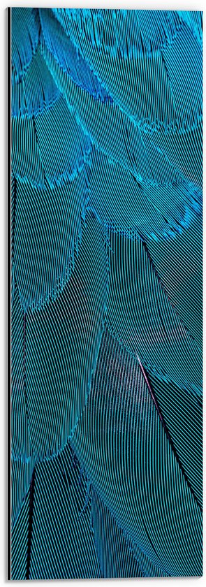 WallClassics - Dibond - Blauwe Veren - 20x60 cm Foto op Aluminium (Wanddecoratie van metaal)