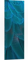 WallClassics - PVC Schuimplaat - Blauwe Veren - 40x120 cm Foto op PVC Schuimplaat (Met Ophangsysteem)