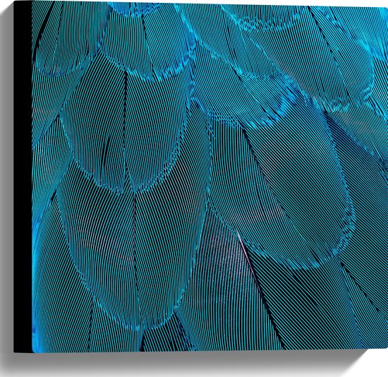 WallClassics - Canvas  - Blauwe Veren - 40x40 cm Foto op Canvas Schilderij (Wanddecoratie op Canvas)