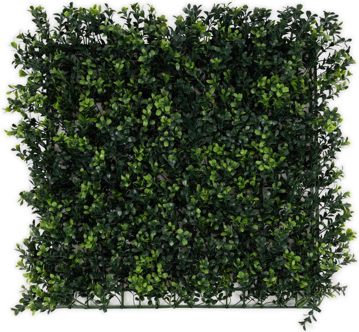 FLOORDIREKT Plantenwand - Boxwood - Kunstplant - Kunsthaag - Decoratie - 50 x 50 cm