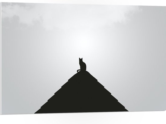 WallClassics - PVC Schuimplaat- Kat op Piramide - 105x70 cm Foto op PVC Schuimplaat