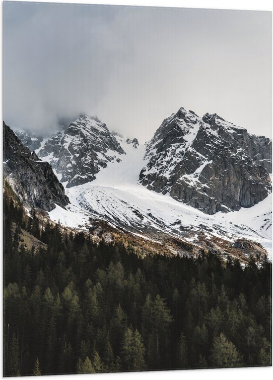 WallClassics - Vlag - Sneeuwbergen achter het Bos - 70x105 cm Foto op Polyester Vlag