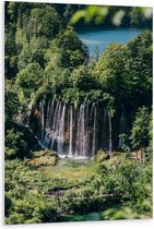 WallClassics - Panneau en mousse PVC – Chutes d'eau depuis les Arbres vers le bas – Photo 80 x 120 cm sur panneau en mousse PVC