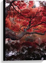 WallClassics - Canvas  - Rode Herfstboom hangend over Water - 40x60 cm Foto op Canvas Schilderij (Wanddecoratie op Canvas)