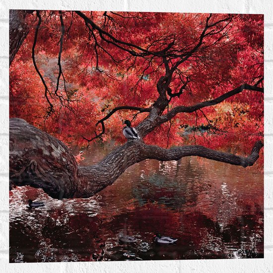 WallClassics - Muursticker - Rode Herfstboom hangend over Water - 50x50 cm Foto op Muursticker