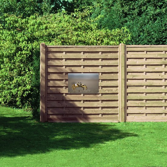 Tuinposter – Krab op het Strand - 75x50 cm Foto op Tuinposter (wanddecoratie voor buiten en binnen)