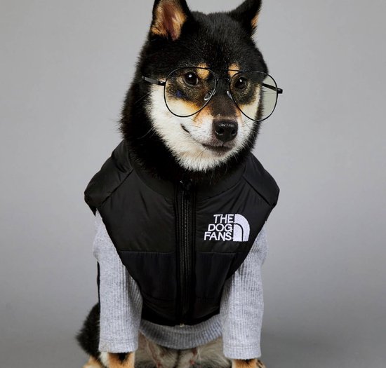 Hondenjas The Dog Fans - Hondenbodywarmer - Hondentrui - Hondenkleding - Dierenkleding - Honden Bodywarmer - Zwart
