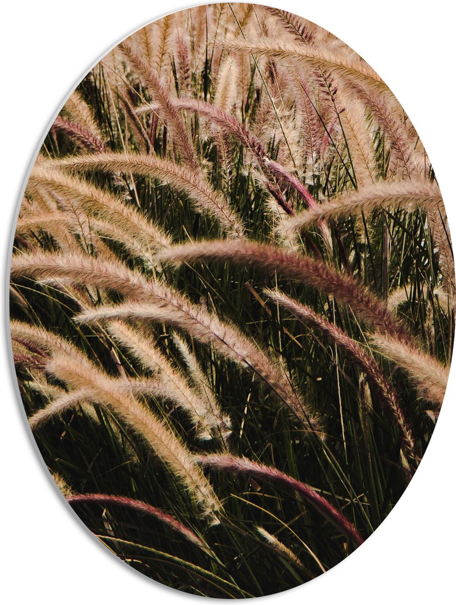 PVC Schuimplaat Ovaal - Sierlijke Fontein Gras - 42x56 cm Foto op Ovaal (Met Ophangsysteem