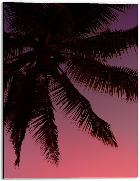 WallClassics - Dibond - Silhouette van een Palmboom bij Roze Lucht - 30x40 cm Foto op Aluminium (Met Ophangsysteem)