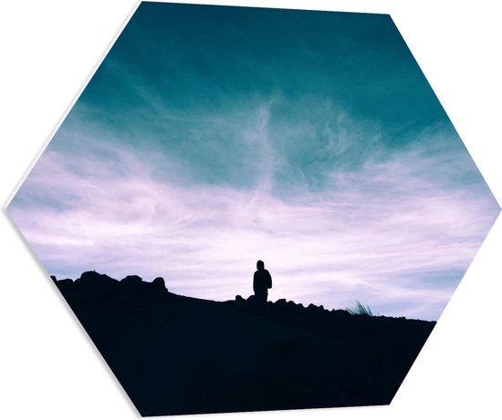 WallClassics - PVC Schuimplaat Hexagon - Silhouette van Man op een Berg - 70x60.9 cm Foto op Hexagon (Met Ophangsysteem)