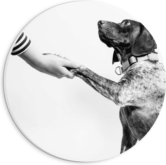 WallClassics - PVC Schuimplaat Muurcirkel - Hond Geeft Poot Zwart - Wit - 20x20 cm Foto op Muurcirkel (met ophangsysteem)