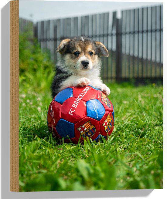 WallClassics - Hout - Hondje Speelt met een Voetbal - 30x40 cm - 9 mm dik - Foto op Hout (Met Ophangsysteem)