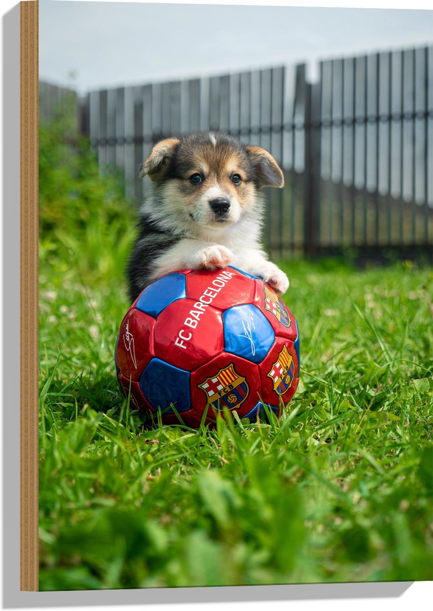 Hout - Hondje Speelt met een Voetbal - 40x60 cm - 9 mm dik - Foto op Hout (Met Ophangsysteem)