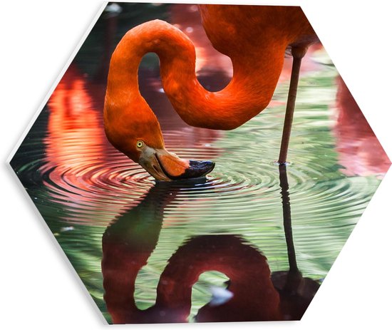 WallClassics - PVC Schuimplaat Hexagon - Flamingo met Kop in het Water - 30x26.1 cm Foto op Hexagon (Met Ophangsysteem)