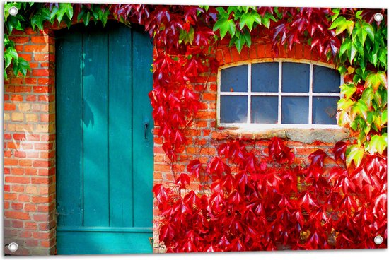 WallClassics - Tuinposter – Blauwe Deur met Gekleurde Bladeren - 90x60 cm Foto op Tuinposter (wanddecoratie voor buiten en binnen)