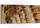 WallClassics - Hout - Park Güel een stadspark in Barcelona - 100x50 cm - 9 mm dik - Foto op Hout (Met Ophangsysteem)