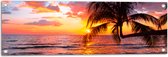 Tuinposter – Palmboom op Prachtig Verlaten Strand met Zonsondergang - 90x30 cm Foto op Tuinposter (wanddecoratie voor buiten en binnen)