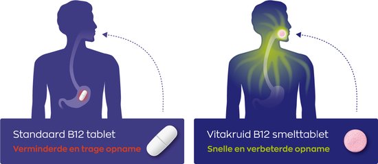Illustratie van standaard B12 tablet versus Vitakruid smelttablet opname.