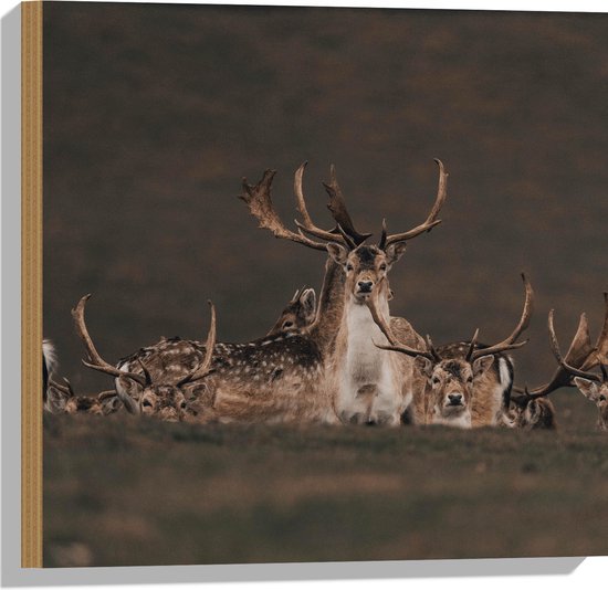 WallClassics - Hout - Herten met grote Geweien - 50x50 cm - 9 mm dik - Foto op Hout (Met Ophangsysteem)