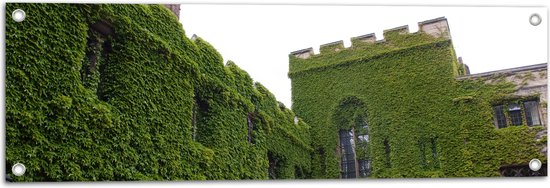 Tuinposter – Oud Kasteel Begroeid door Planten - 90x30 cm Foto op Tuinposter (wanddecoratie voor buiten en binnen)