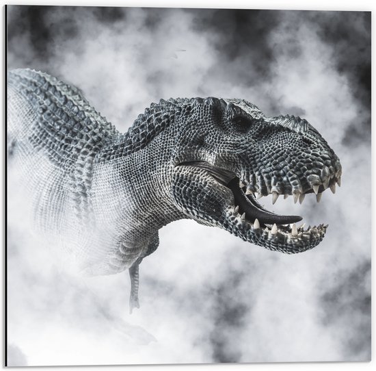 Dibond - Gevaarlijke T-rex Dinosauris in de Mist (Zwart- wit) - 50x50 cm Foto op Aluminium (Met Ophangsysteem)