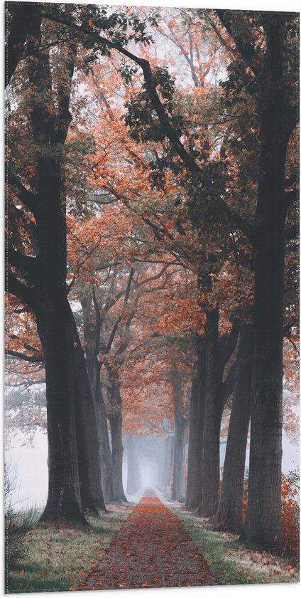 Vlag - Bomen met Herfstbladeren - 50x100 cm Foto op Polyester Vlag