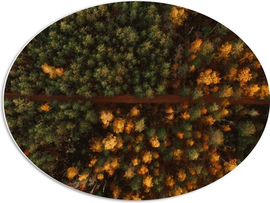 WallClassics - PVC Schuimplaat Ovaal - Bovenaanzicht van Bos met Groene en Oranje Bomen - 68x51 cm Foto op Ovaal (Met Ophangsysteem)
