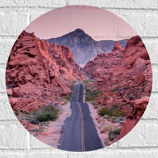 WallClassics - Muursticker Cirkel - Weg in Valley of Fire State Park in Nevada - 40x40 cm Foto op Muursticker