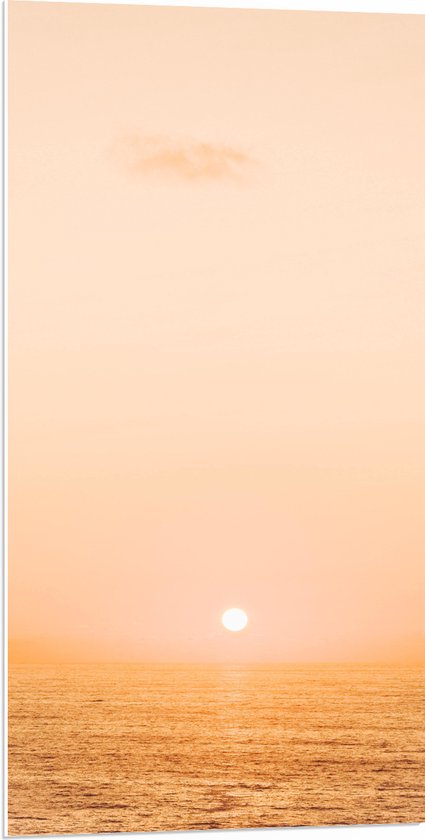 WallClassics - PVC Schuimplaat- Mistige Zonsondergang boven Zee - 50x100 cm Foto op PVC Schuimplaat