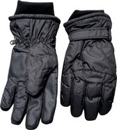 Skihandschoenen heren - Wintersport handschoenen - Thinsulate gevoerd - winddicht - L