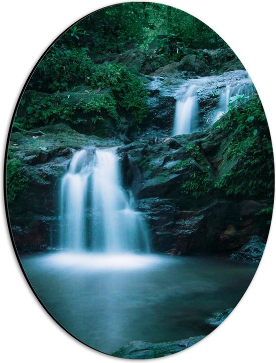 WallClassics - Dibond Ovaal - Kleine Watervallen in Bos vol Begroeiing - 30x40 cm Foto op Ovaal (Met Ophangsysteem)