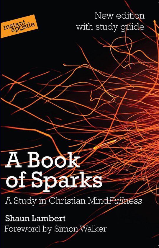 Book Of Sparks - cover