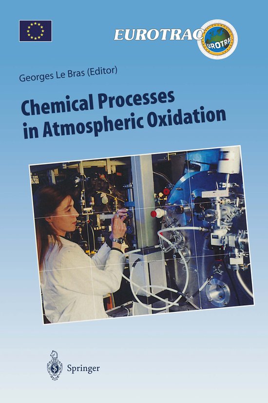 Chemical Processes in Atmospheric Oxidation - cover