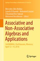 Springer Proceedings in Mathematics & Statistics- Associative and Non-Associative Algebras and Applications