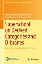 Superschool on Derived Categories and D branes