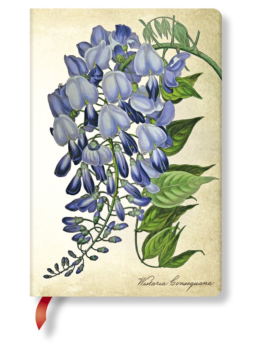 Paperblanks Painted Botanica Blooming Wisteria Mini - Ongelinieerd