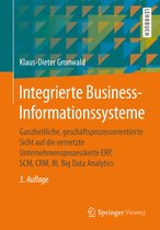 Integrierte Business Informationssysteme