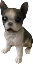 Tuindecoratie - Dierenbeeld - Hondenbeeld - Franse Bulldog - 21 x 25 x 33 cm