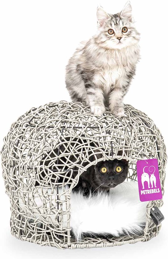 BingoPaw Luxe fluwelen hondensofa XXL: moderne huisdierbank hondenbank voor grote honden, verhoogd hondenbed met zacht kussen en rugleuning, grijs, 120 x 74 x 40 cm