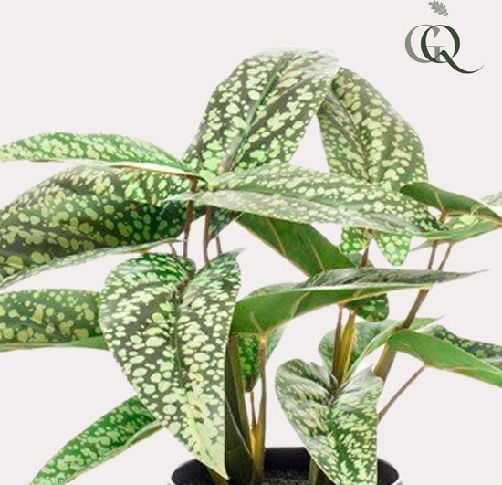 Kunstplant - Calathea Dots - Schaduwplant - 38 cm