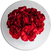 Dibond Muurcirkel - Boeket Rode Bloemen op Witte Achtergrond - 70x70 cm Foto op Aluminium Muurcirkel (met ophangsysteem)