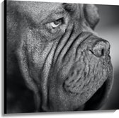 WallClassics - Canvas - Kwijlende Hond (Zwart- wit) - 100x100 cm Foto op Canvas Schilderij (Wanddecoratie op Canvas)