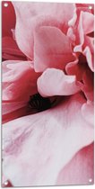 Tuinposter – Zwarte Binnenkant van Roze Bloem - 50x100 cm Foto op Tuinposter (wanddecoratie voor buiten en binnen)