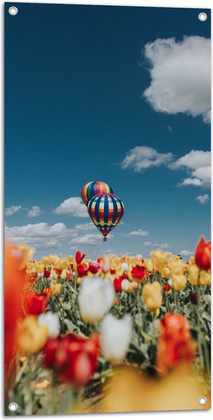Tuinposter – Twee Luchtballonnen boven Meerkleurig Tulpenveld - 50x100 cm Foto op Tuinposter (wanddecoratie voor buiten en binnen)