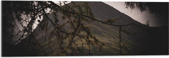 Acrylglas - Takken voor Groene Berg - 90x30 cm Foto op Acrylglas (Wanddecoratie op Acrylaat)