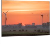 Dibond - Zonsondergang bij Windmolens in het Veld - 100x75 cm Foto op Aluminium (Met Ophangsysteem)