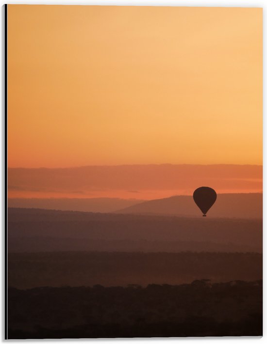 Dibond - Luchtballon in de Lucht tijdens Zonsopkomst - 30x40 cm Foto op Aluminium (Met Ophangsysteem)