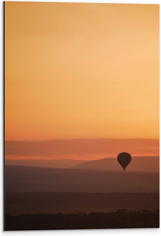 Dibond - Luchtballon in de Lucht tijdens Zonsopkomst - 40x60 cm Foto op Aluminium (Wanddecoratie van metaal)