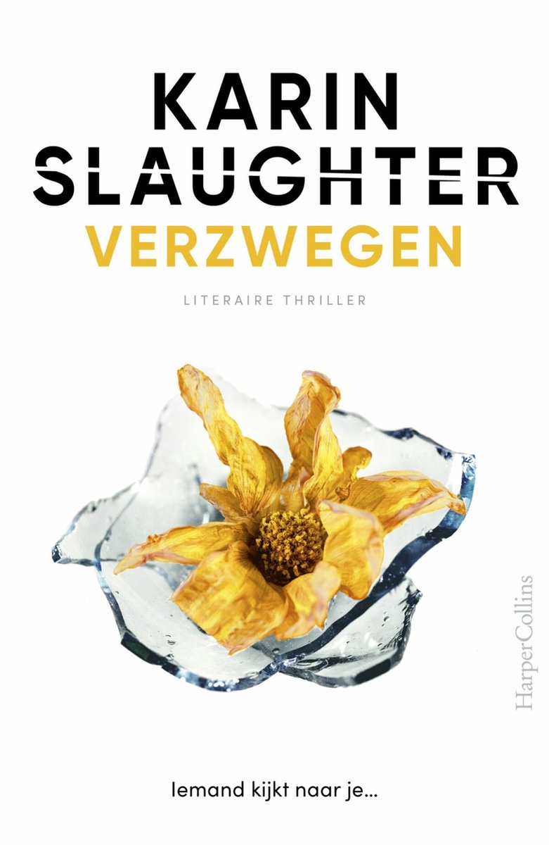 Verzwegen - Karin Slaughter
